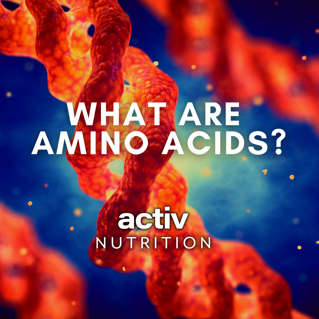 Activ Nutrition